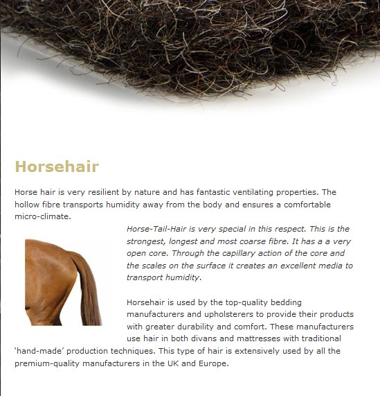 HorseHair